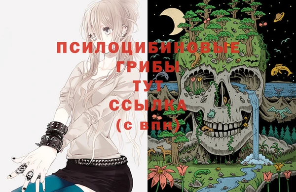 не бодяженный Армянск